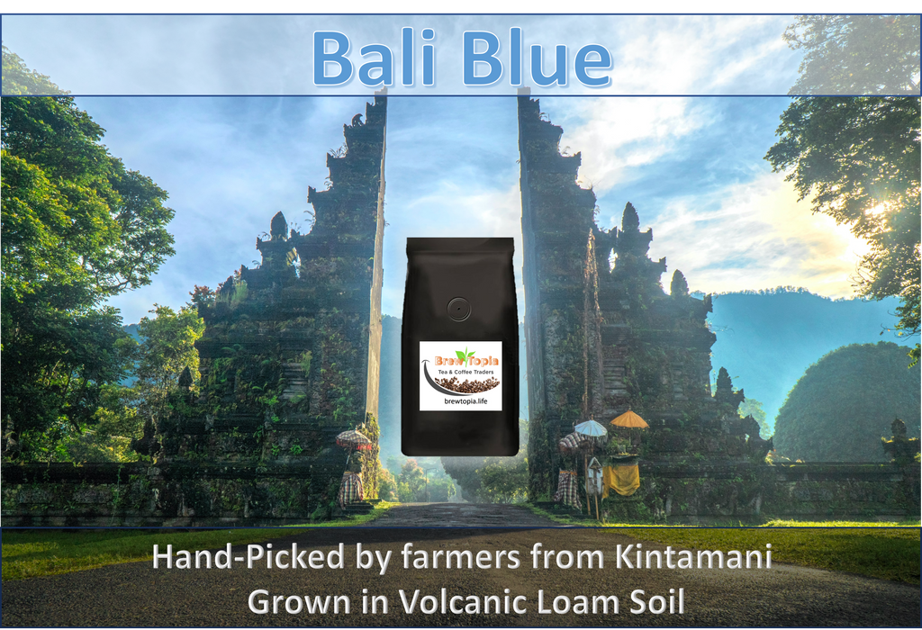 Bali Blue