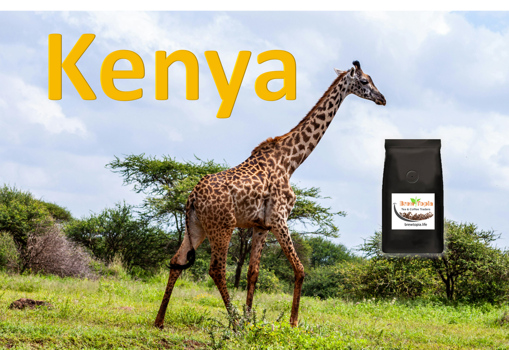 Kenya