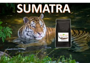 Sumatra